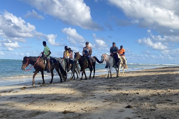 Horseback Ride Through Puerto Plata - Photo 1 of 5